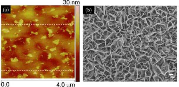 Figura 2.8: a) Imagem de microscopia de força atômica (AFM) de um filme de folhas de grafeno  dispersas em poliestireno e depositado sobre silício