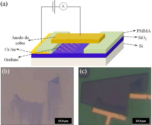 Figura 3.4: a) Esquema simplificado da montagem experimental utilizada para medidas de emissão a  partir do plano do grafeno