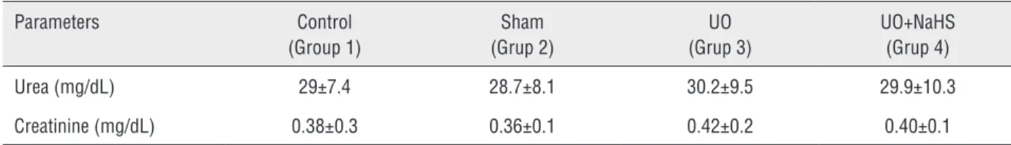 Table 1 - Effects of UUO alone and its combination with NaHS on plasma urea, creatinine levels in rats.