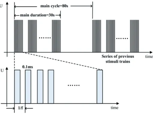 Figure 2 - The stimuli used in the experiments. The pulses were monophasic negative pulses with frequency of 20 Hz, pulse  duration of 0.1ms, train duration of 30 sec, and train period of 80 sec