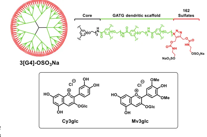 Figure  1.  Structures  of  3[G4]-OSO 3 Na  carrying  162  peripheral  sodium  sulfate  groups  and  anthocyanins  104  (flavylium salts)