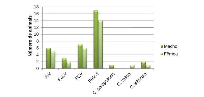 Gráfico  2.  Número  de  animais  positivos  aos  diferentes  agentes  pesquisados,  distribuídos  segundo o sexo