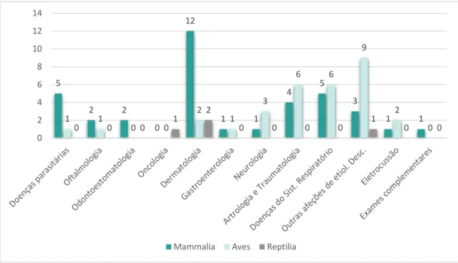 Gráfico 5 - Frequências absolutas dos casos acompanhados nas diferentes áreas clínicas, de acordo com  cada classe