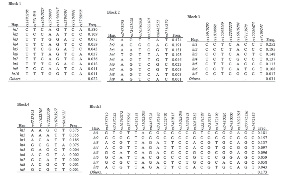 Figure 2 - Haplotypes among DKK3 SNPs. A) Haplotypes in DKK3. “Others” category contains rare haplotypes, B) Linkage disequilibrium among DKK3  polymorphisms.