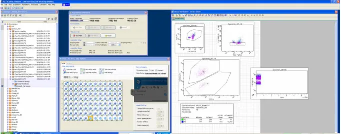 Figure 2.2 LSR Fortessa interface, showing an example of a well’s cells being separated through  the  three  windows  and  between  the  mCherry-marked  reference  competitor  and  the  interest  sample strain
