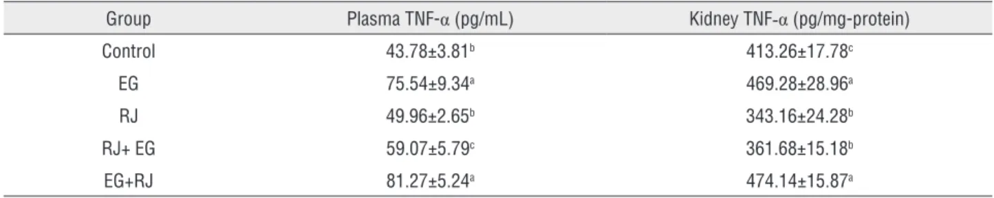 Table 1 - Plasma and renal tissue TNF-α Levels.