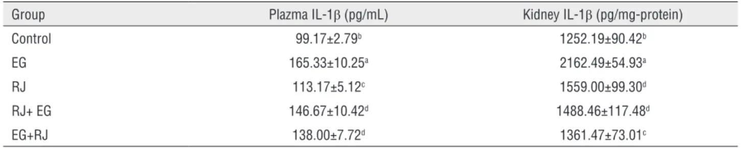 Table 3 - Plasma and renal tissue IL-18 Levels.