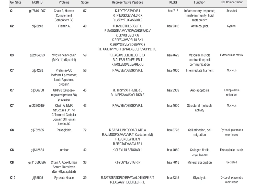 Table 3 - Proteins identified in pool of patients with non-tumor tissue (Group 2).