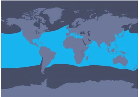 Figura 7 – Mapa da distribuição mundial da espécie Stenella coeruleoalba. Retirado de  http://us.whales.org/species-guide/striped-dolphin 