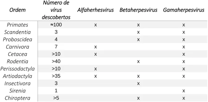 Tabela 2 – Herpesvirus descobertos em mamíferos e respetivas subfamílias virais. Adaptado de Ehlers (2008)