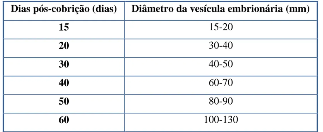 Tabela 5: Diâmetro da vesícula embrionária de acordo com o número de dias pós-cobrição (Morel,  2003)