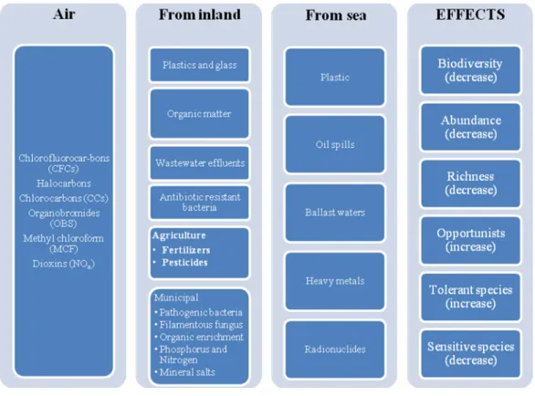 Figure 1. Most common pollutants found in dunes and their main effects in dune community systems.