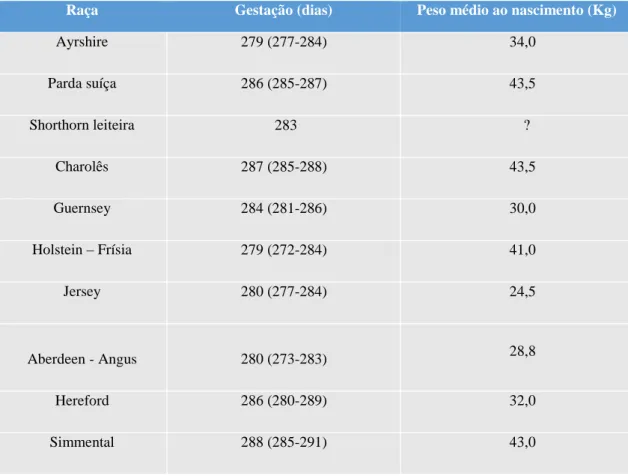 Tabela 15 – Duração da gestação nas diferentes raças de gado bovino e respetivos pesos médios dos  vitelos ao nascimento  (Adaptada de Ryan, 2002) 
