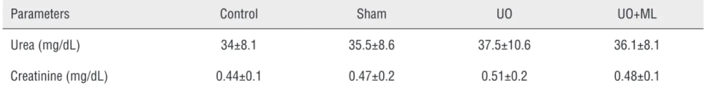 Table 1 - Effects of UO alone and its combination with ML on plasma urea, creatinine levels in rats.