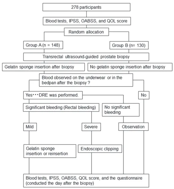 Figure 2 - Flowchart of this study.