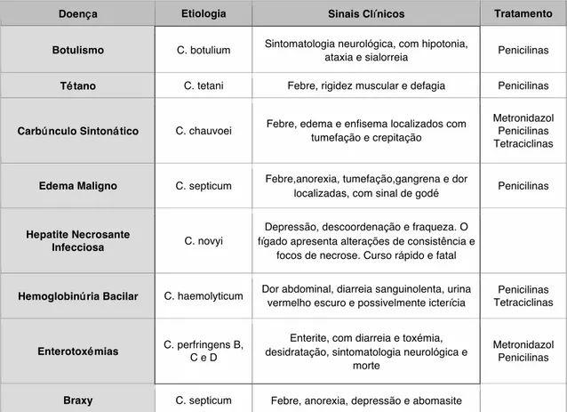 Tabela 2. Clostridioses, Etiologia, Sinais Clínicos e Tratamento(Adaptado de Smith, 2006) 