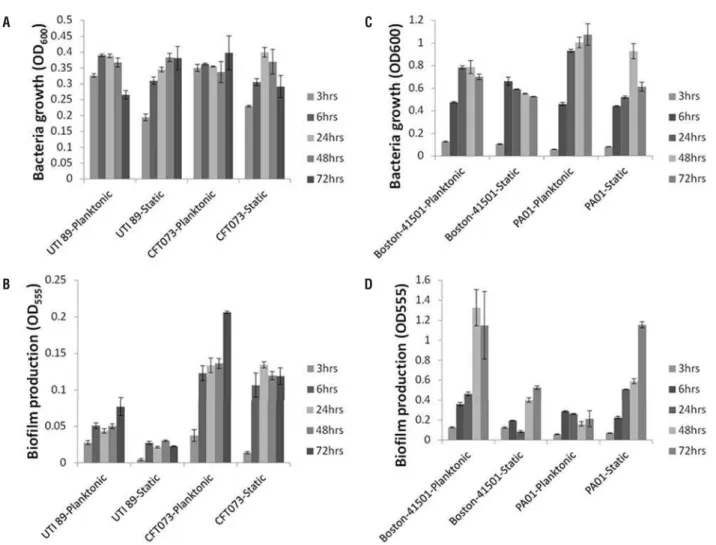 Figure 1 - Time course analysis of growth and biofi lm patterns.