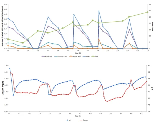 Figure 4. Evolution of pH (red line), DO (dark blue line), PHA (green line), Acetic Acid (purple line),  Propionic Acid (light blue line), Butyric Acid (orange line) and SCOAs (blue line) concentrations in  kinetic test performed with nitrogen limitation