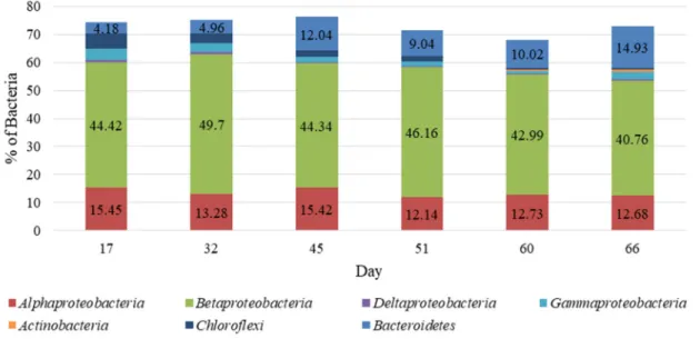 Figure 5. Evolution of bacterial community throughout the SBR operation. 
