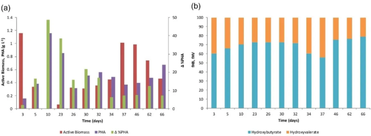 Figure 2b shows the evolution of the produced monomers during the SBR operation. The  formation of poly-(3-hydroxybutyrate-co-3-hydroxyvalerate), P (3HB-co-3HV) with an average  monomeric composition (on a molar basis) of 69:31 ± 7:7 (3HB:3HV) was observed