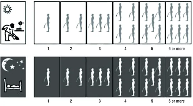 Figure 1 - Pictorial display of the visual IPSS (VPSS score), assessing daytime and nighttime frequency, flow rate and QoL.