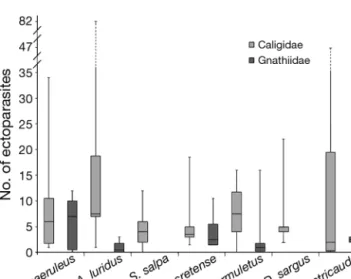 Fig. 4. Comparison of Coris julis and Thalassoma pavo diet composition (deter- (deter-mined from 60 randomly captured fish), using principal coordinates analysis (PCoA)