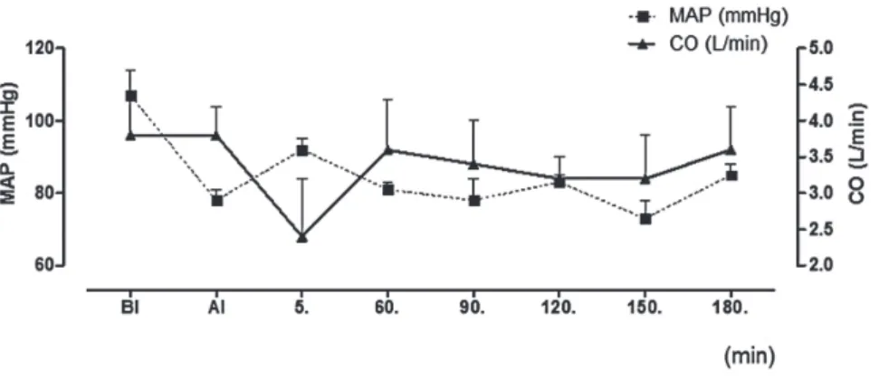Figure 1 - Systemic hemodynamic parameters.