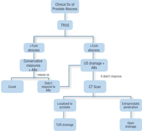 Figure 1 - Algorithm for management of prostate abscess.