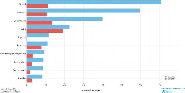 Figure 1. Estimated age-standardized incidence and mortality rates (World) in 2018, Portugal, both  sexes, all ages [ 10 ,  13 ]