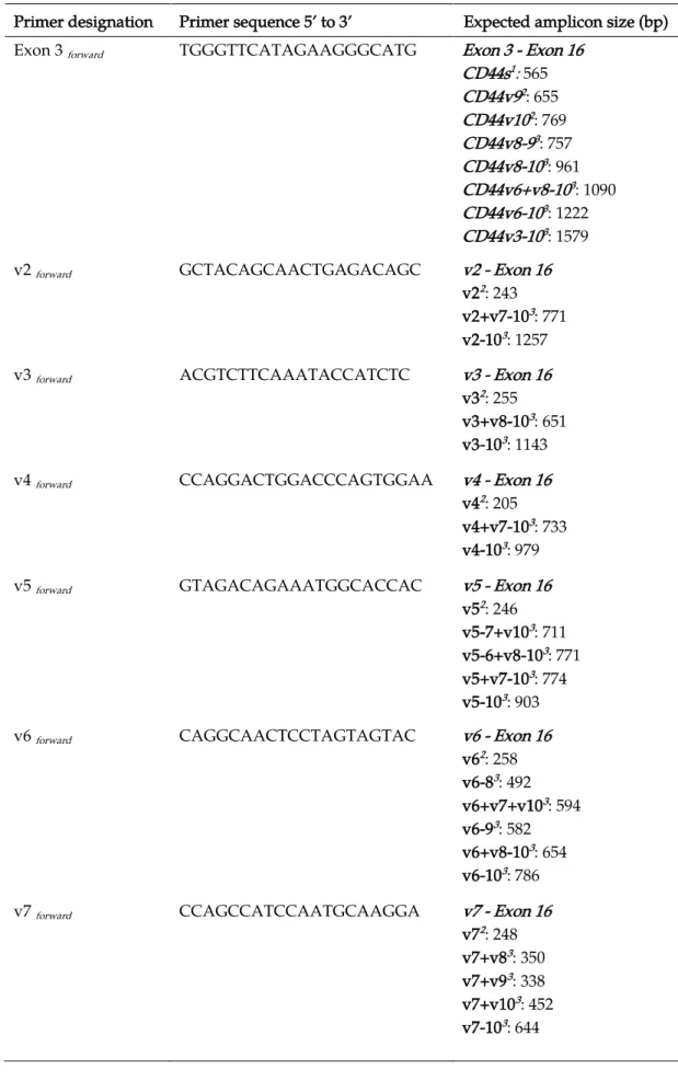 Table 2. Probes used in PCR for the amplification of sequences of interest. Adapted from [ 150 ]