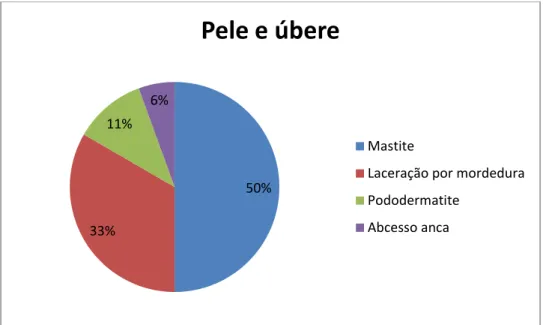 Figura 2 - Pododermatite num bovino (autor)  Mastite 