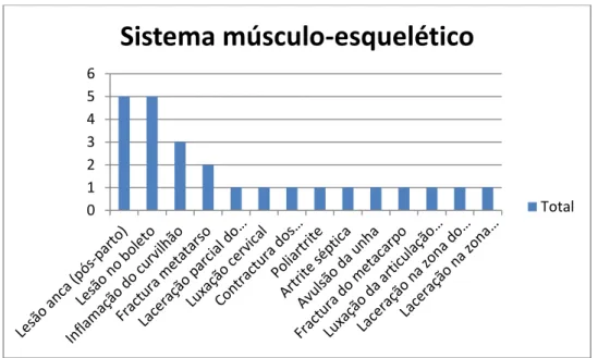 Tabela 12 - Número total de afeções do sistema urinário por espécie animal  Sistema  Urinário-Diagnóstico provável  Bovinos  Total  Infeção urinária  2  2  Uraquite  2  2  Onfalite crónica  1  1  Onfalite  1  1 0123456 Sistema músculo-esquelético  Total
