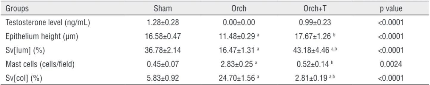 Table 1 - Hormonal and morphometric data of prostate from rats of groups Sham (n=8), hypogonadal (Orch) (n=8), and  hypogonadal with hormonal replacement (Orch+T) (n=8).