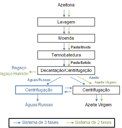 Figura 3: Diagrama de extração do azeite (Sistemas Contínuos de duas e três fases)  (adaptado de (Ferreira-Dias, 2017) 