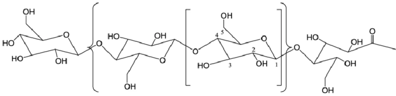 Figura 4: Estrutura da celulose 