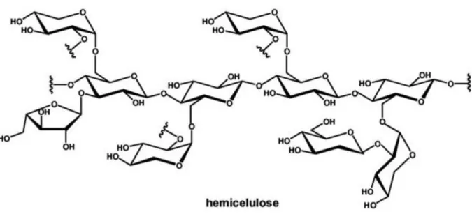 Figura 5: Exemplo da fórmula estrutural de uma hemicelulose  