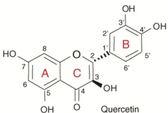 Figura 7: Estrutura química da Quercetina (um flavonóide) 
