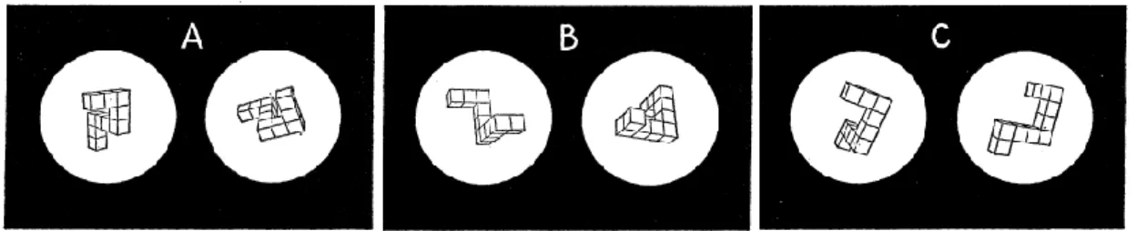 Figure  1.3:  Examples  of  drawings  of  cubes  presented  to  subjects  in  Shepard  and  Metzler’s  (1971)  experiment