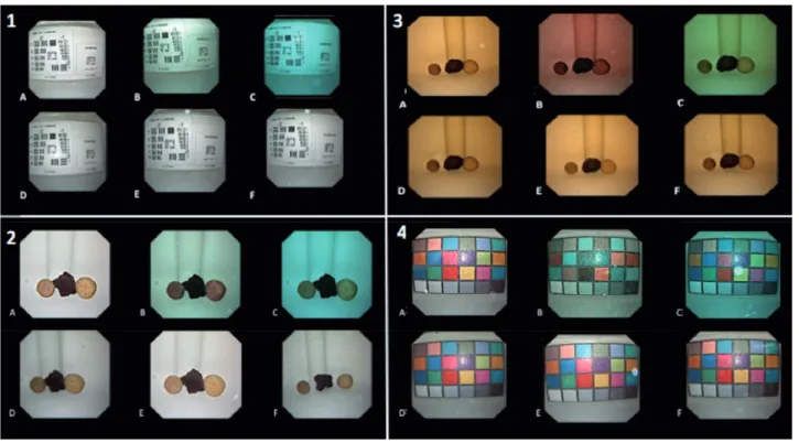 Figure 1 - Example of the templates used to evaluate the same object in the different scenarios.
