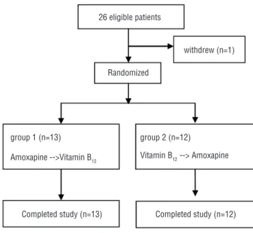 Table 1 - Demographic characteristics of the patients (n = 25).
