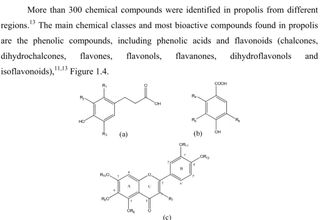 Figure 1.4 Basic structures of the most common phenolic compounds found in propolis. 