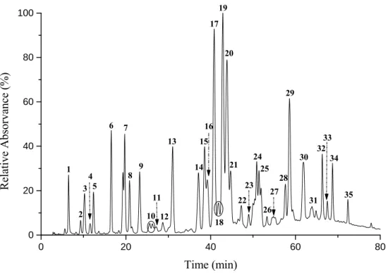 Figure 3.1 Chromatographic profile at 280 nm of the ethanolic extract obtained from the  Portuguese propolis samples
