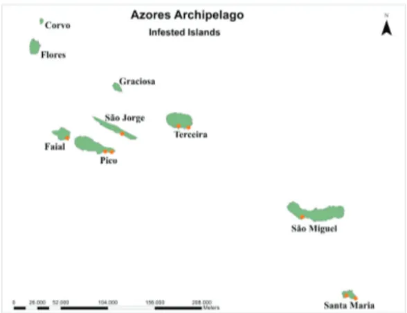 Fig. 2.  Map of the distribution of C. brevis in the  Azores. The species occurs on the islands of Terceira  (Angra do Heroísmo city and Porto Judeu parish), São  Miguel (Ponta Delgada city), Faial (Horta city), Pico  (Calheta do Nesquim parish and Lajes d