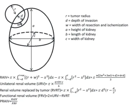 Figure 1 - Illustration of geometric renal tumor model and calculation process of RAIV and PRAIV.
