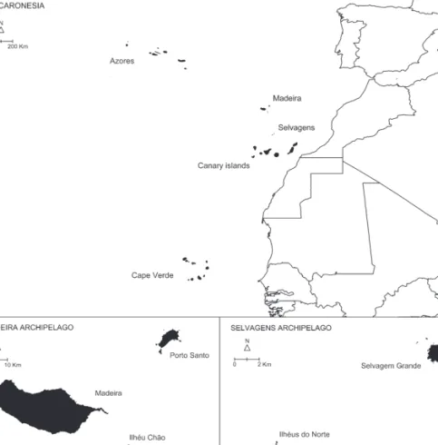 Figura 1. Composição e localização dos arquipélagos da Madeira e Selvagens no Oceano Atlântico.