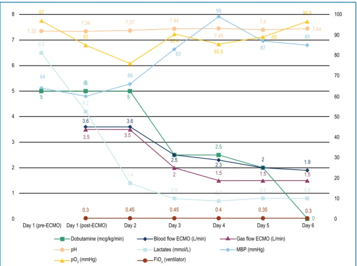 Figure 3 – Hemodynamic and gasometric data, and parameters established in extracorporeal membrane oxygenation (ECMO)
