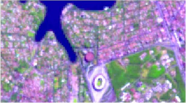 Figura 9: Imagem Landsat 8 com fusão com a banda Pancromática - pixel de 15m 