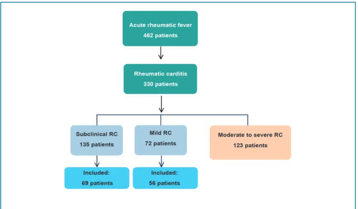 Figure 1  –  Flowchart: selection of patients with subclinical and mild rheumatic. 