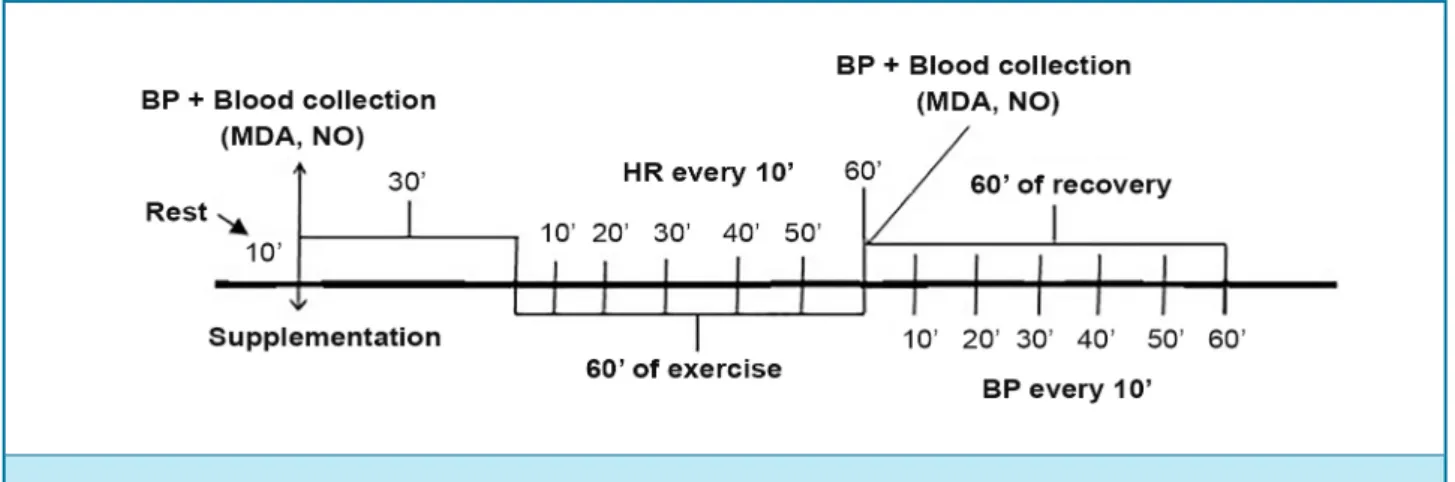 Figure 1  –  Experimental design diagram. 