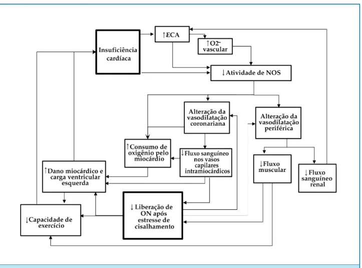 Figura 1 – Representação do ciclo de disfunção entre a insuficiência cardíaca e a disfunção endotelial 